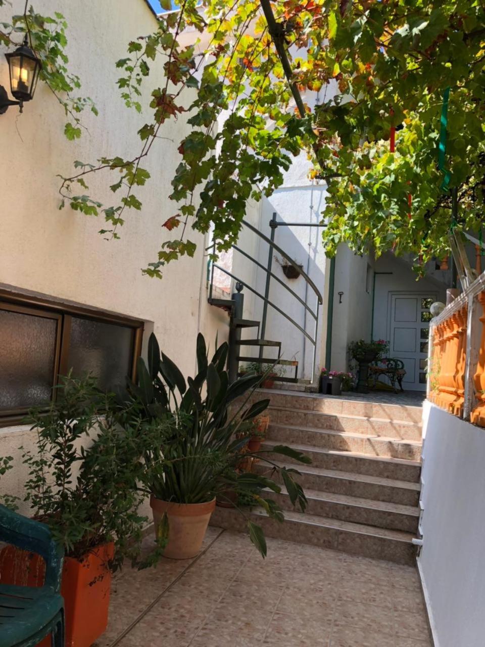 Guest House Cvoro Herceg Novi Extérieur photo
